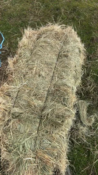 Alpacas de heno para animales