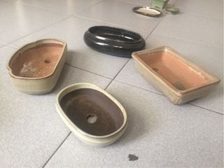 Macetas de terracota para bonsái (varios tamaños)