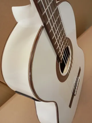 Guitarra flamenca con previo Md100