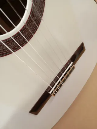 Guitarra flamenca con previo Md100