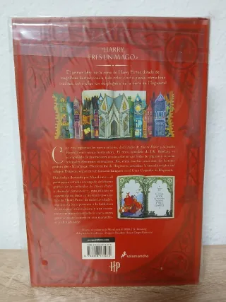 Harry Potter y la piedra filosofal (Ed. Minalim...