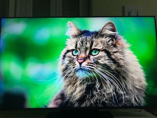 Samsung Neo QLED 50 TV
