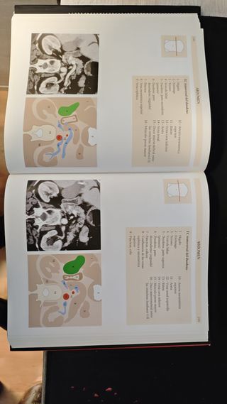 Atlas De Anatomia Humana (Spanish Edition)