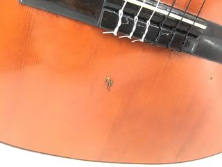 guitarra clasica serrano normal