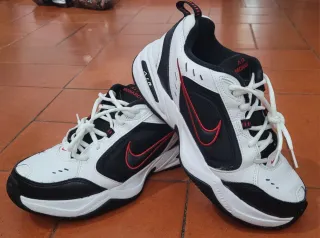 Tênis Nike Masculino Tamanho 41