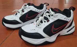 Tênis Nike Masculino Tamanho 41