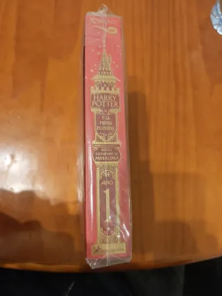 Libro Harry Potter y la Piedra Filosofal
