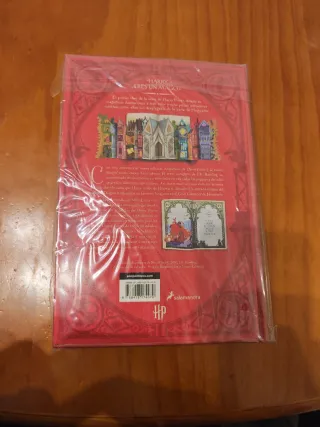 Libro Harry Potter y la Piedra Filosofal