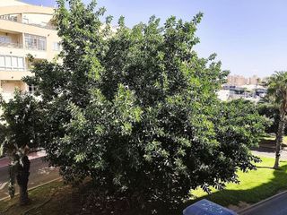 Piso en venta en Centro en Torrevieja