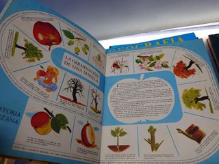 ENCICLOPEDIA EN COLORES. TIMUN MAS: GEOGRAFÍA UNIVERSAL + EL ESPACIO + HISTORIA UNIVERSAL + EL MUNDO DE LAS PLANTAS