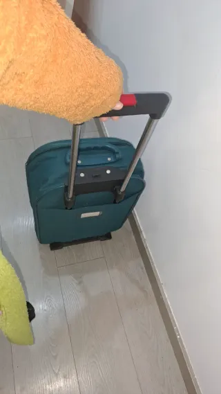 Maleta de cabina con ruedas verde