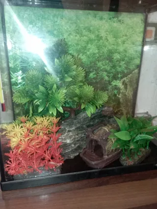 Pecera de cristal con decoración