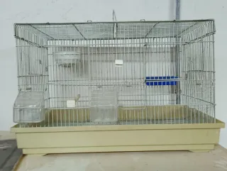 Jaula cria pájaros  con accesorios