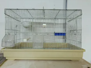 Jaula cria pájaros  con accesorios