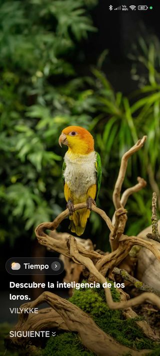 Control de plagas, todo tipos de insectos, etc