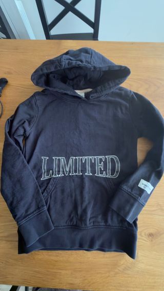 Sudadera Vingino con capucha y logo