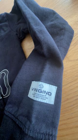Sudadera Vingino con capucha y logo