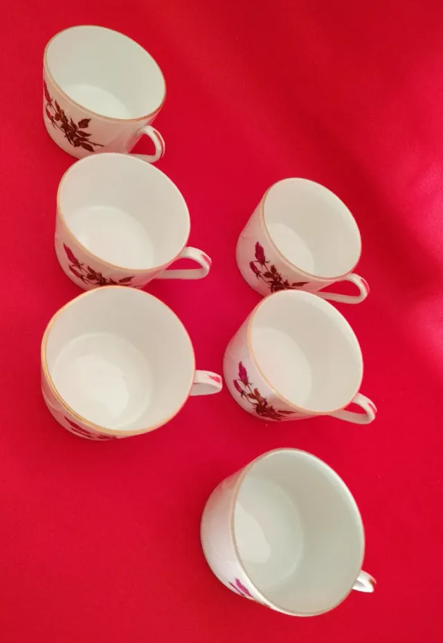 Juego de 6 tazas de porcelana con rosas