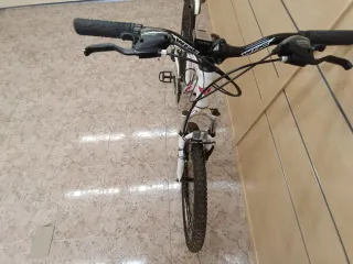 Bicicleta Infantil Conor 20