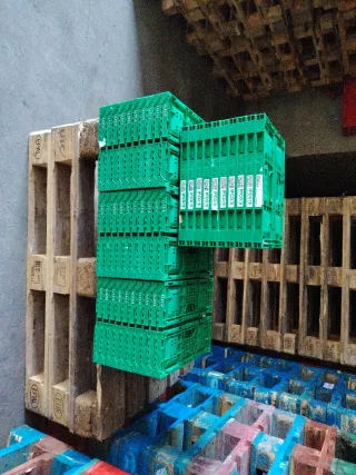 40 Cajas Plástico Apilables Verdes