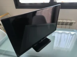 TV LG 24 (24MT47DC-PZ)