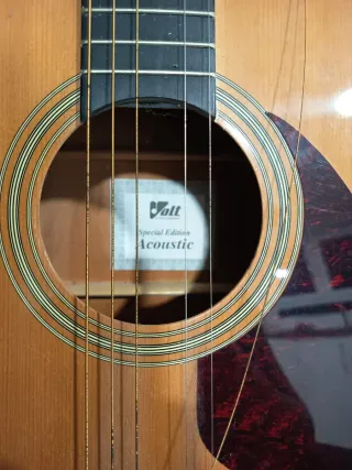 Guitarra eléctrica y acústica