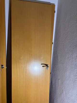 Puertas de interior de madera maciza