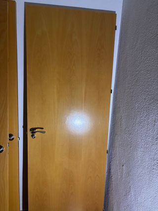 Puertas de interior de madera maciza