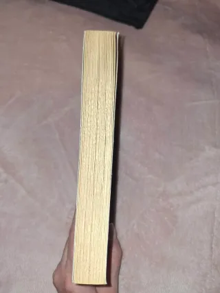 Las aventuras de Huckleberry Finn