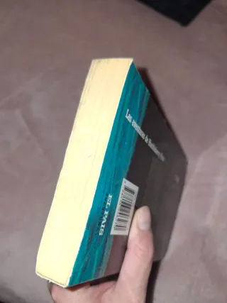 Las aventuras de Huckleberry Finn