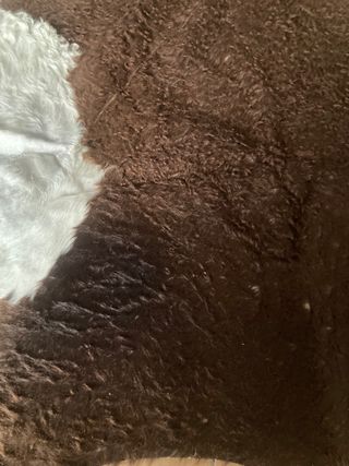 Alfombra Piel de Vaca Original