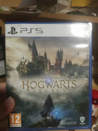 Hogwarts Legacy PS5