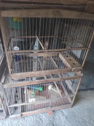 7 Jaulas para Pájaros