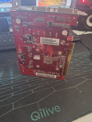 Tarjeta Gráfica Gainward PC