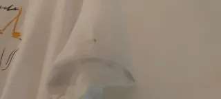 Camiseta Dolores Promesas Estampado Frontal