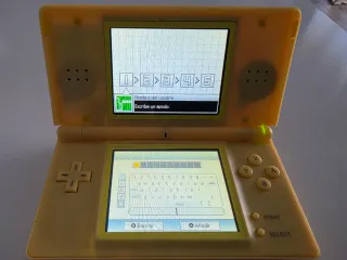 Nintendo DS Lite perfettamente funzionante con custodia personalizzata