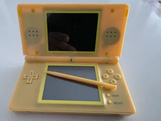 Nintendo DS Lite perfettamente funzionante con custodia personalizzata