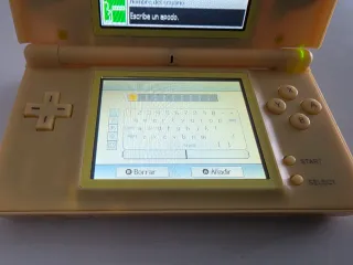 Nintendo DS Lite perfettamente funzionante con custodia personalizzata