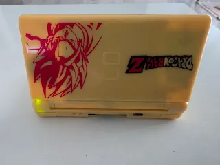 Nintendo DS Lite perfettamente funzionante con custodia personalizzata