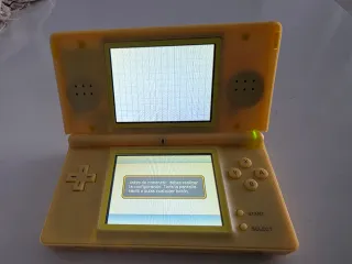 Nintendo DS Lite perfettamente funzionante con custodia personalizzata