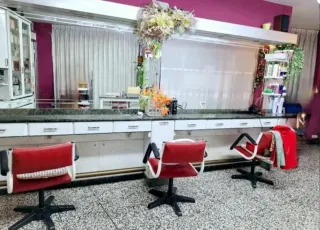 LOTE COMPLETO COMPLETO PELUQUERIA Suelto consultar