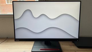 Monitor Lenovo ThinkVision Negro/Gris