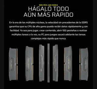 Memoria DDR5 (precintado + factura)