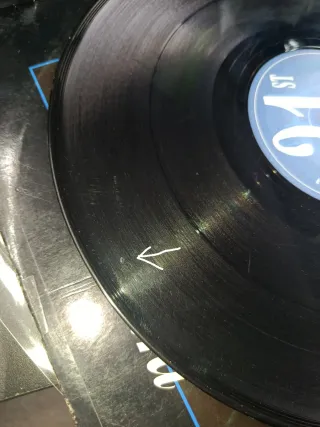 TOP BUSCADO / Radiorama Little Bird