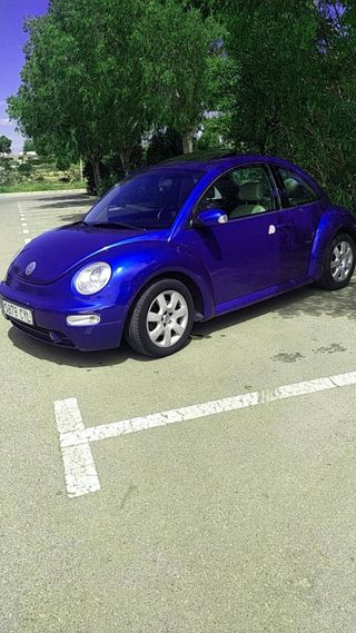 Volkswagen Beetle 2004
