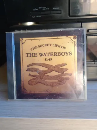 The Waterboys - The Secret Life Of