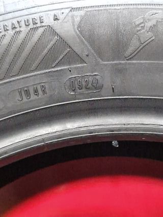 [R. 1981] - 215 55 17 98W NEUMÁTICOS GOODYEAR