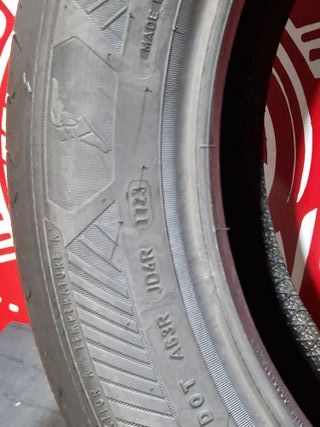 [R. 1981] - 215 55 17 98W NEUMÁTICOS GOODYEAR