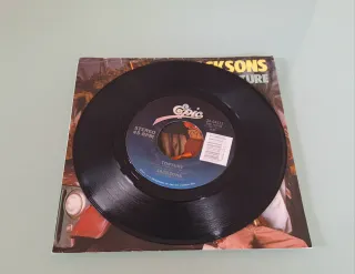 Single Jacksons Torture Michael Jackson