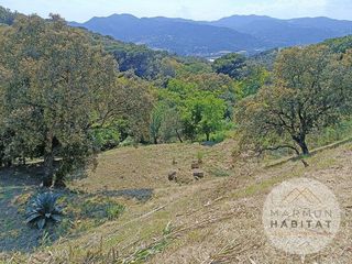 Terreno en venta en Argentona